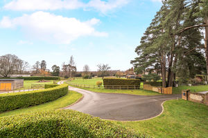 Photo 6- click for photo gallery